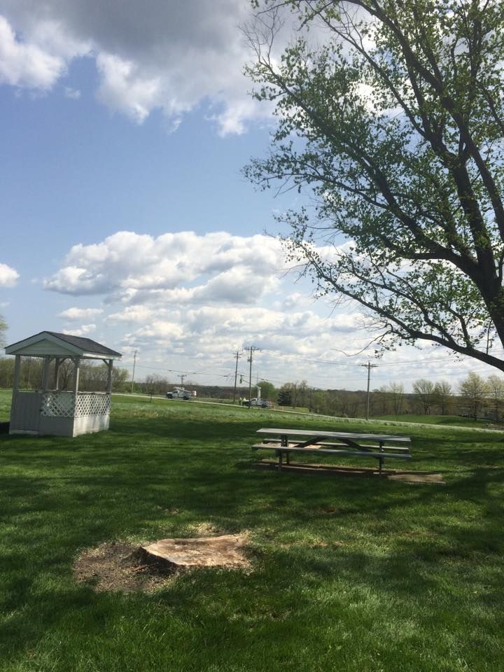 Tree Removal for Precision Tree Service, Inc. in Ryland Heights, KY