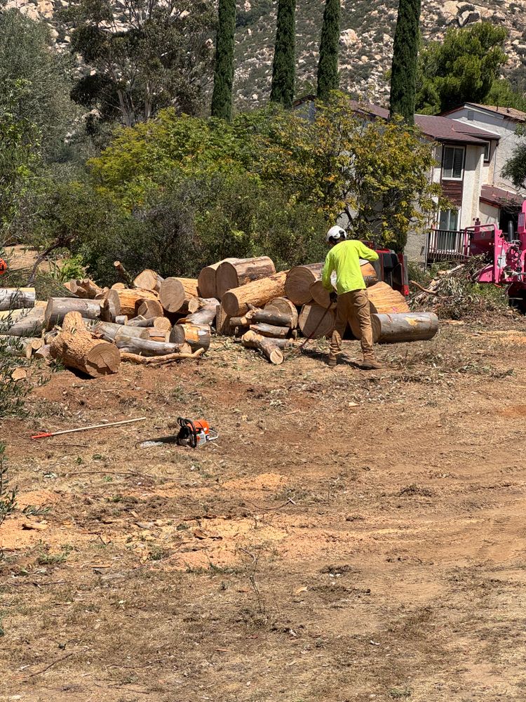 Tree Services for The Tree Fairy in Julian, CA