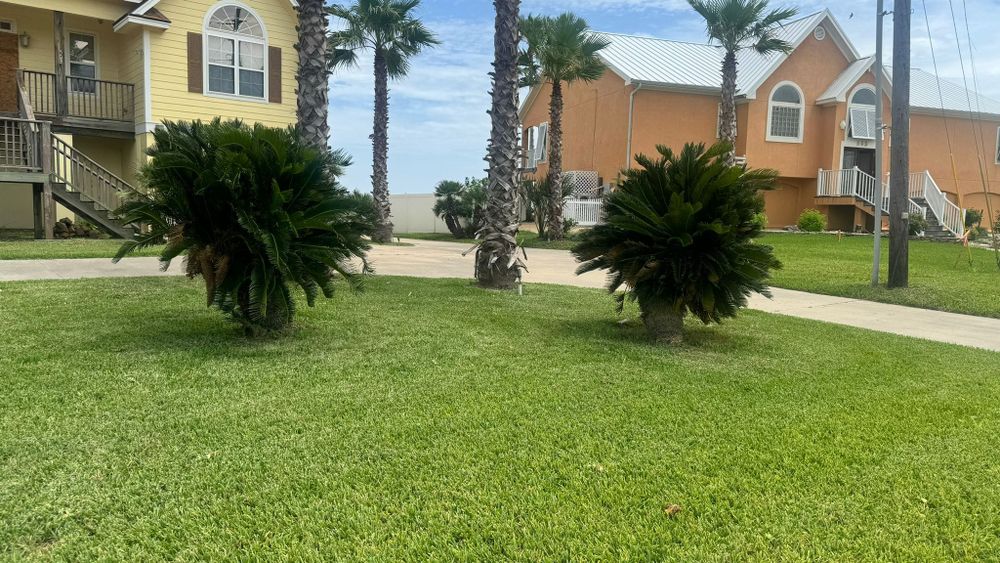 Our mowing service offers expert, reliable lawn care that ensures a crisp, beautifully manicured appearance for your yard. We prioritize precision and customer satisfaction to maintain the health and aesthetics of your landscape. for CRM Palm & Landscaping in Rockport, TX