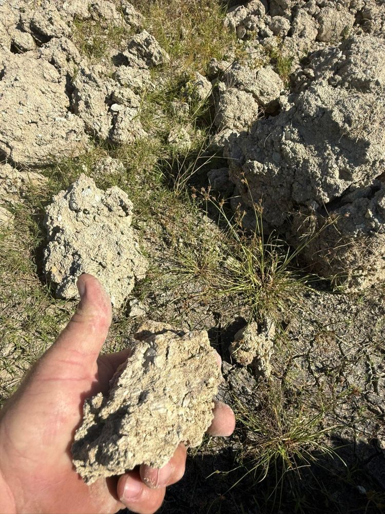 All Photos for ABC Septic Service in North Fort Myers, FL