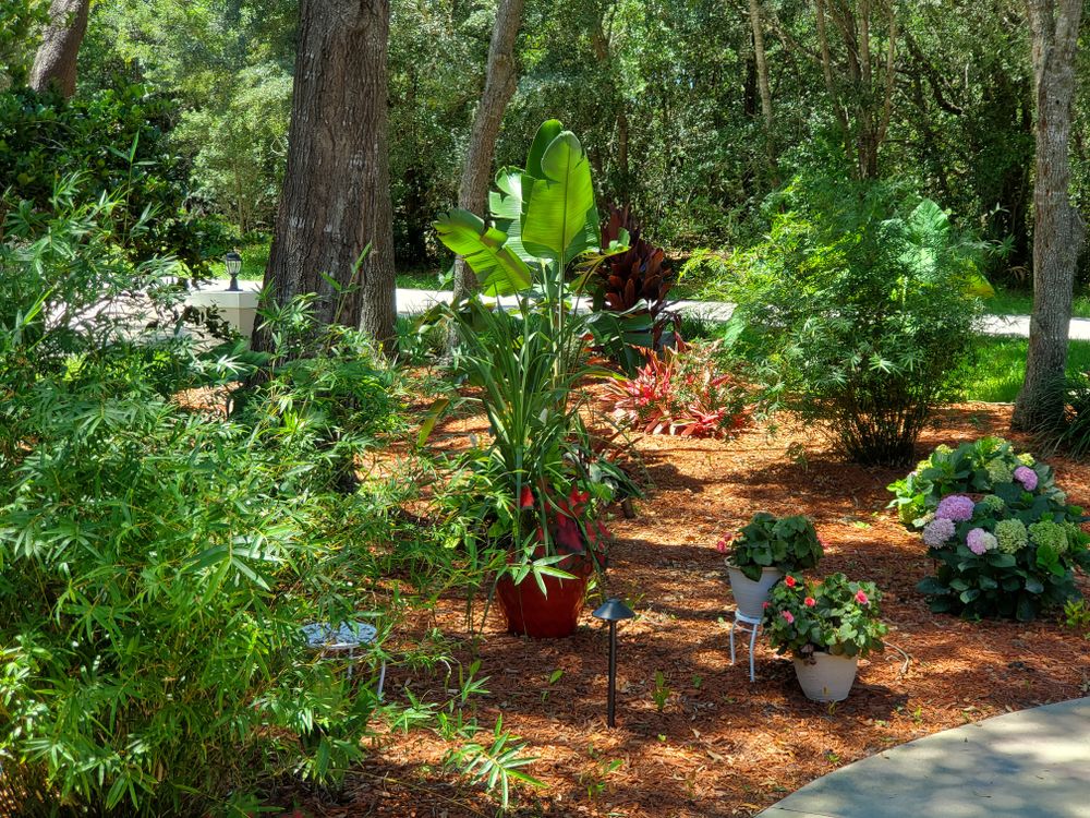 Landscape Design Services for Landscape Renovators Inc. Michael Bombly in Lecanto, FL