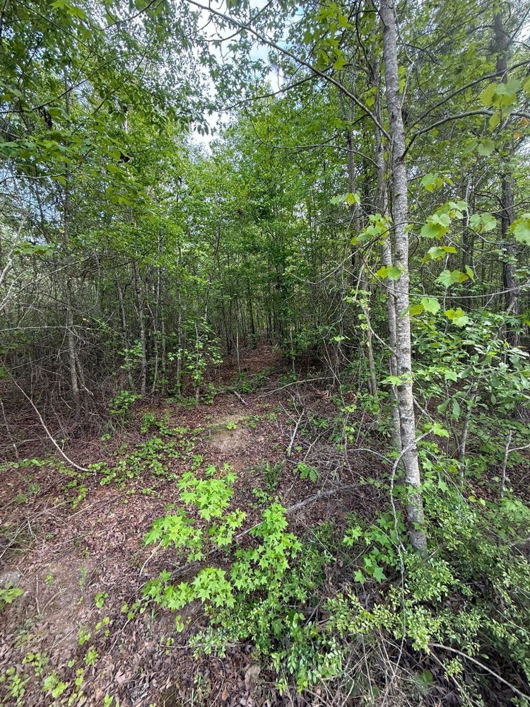 All Photos for KLNAX Enterprises in Newton County, GA