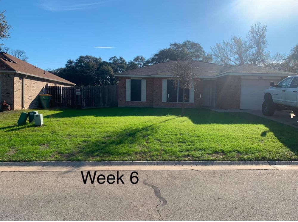All Photos for Scalpel Lawn Service in Temple, TX