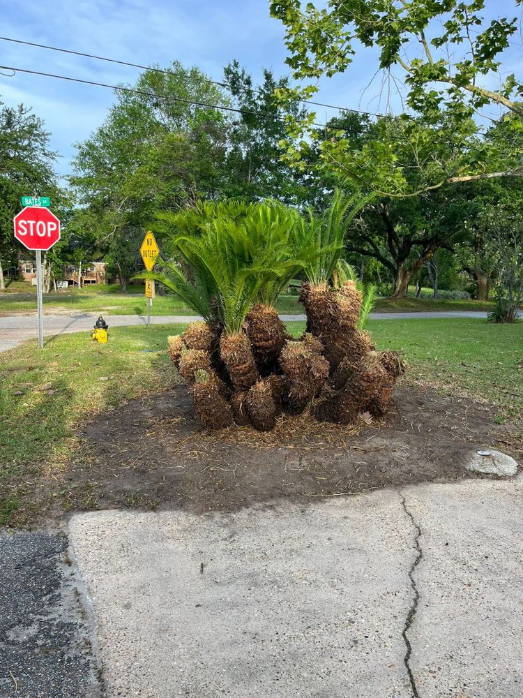 All Photos for Landscaping Pros in Hurley, MS