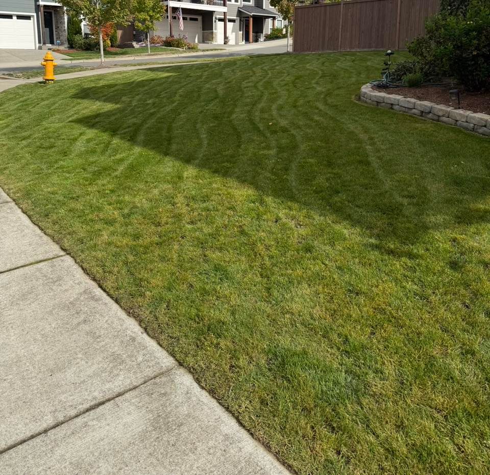 All Photos for B.U Landscaping in Everett, WA