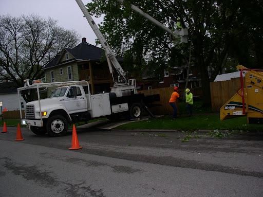 All Photos for O&O Tree Service in Rockford, IL