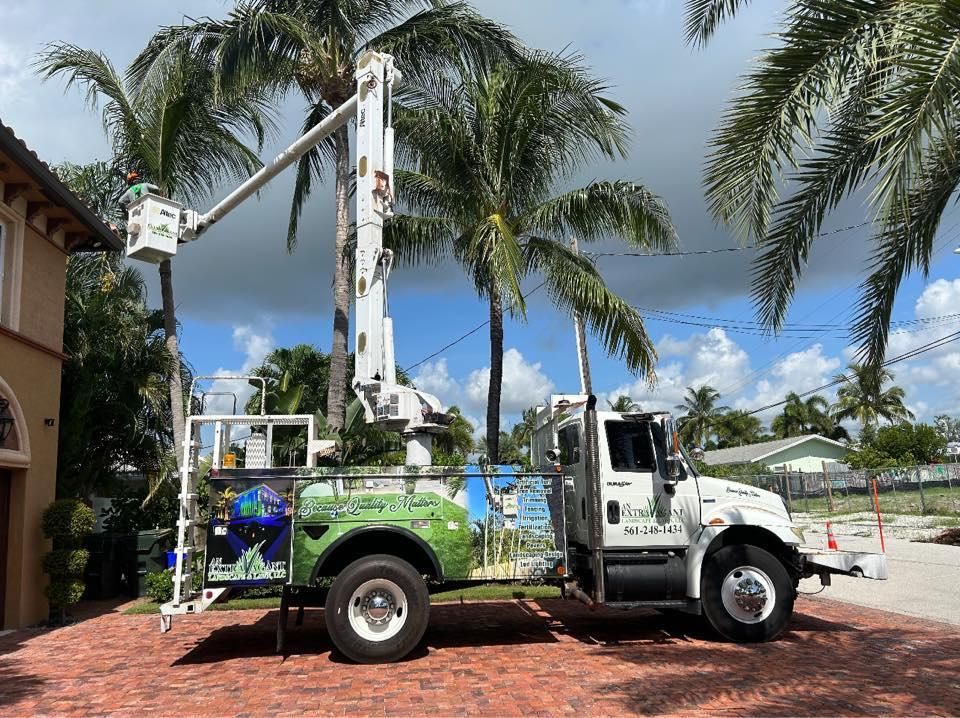 All Photos for An Extravagant Landscape & Lawn Service in Delray, FL