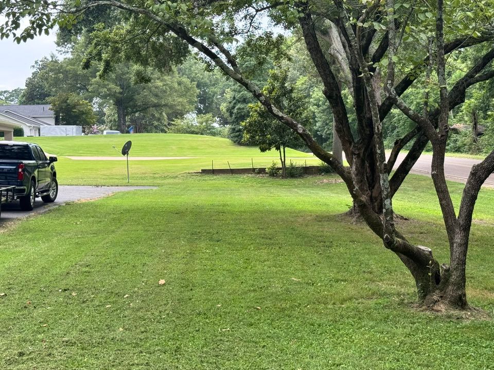 Lawn Care for Apex Lawn & Landscaping INC in Dyersburg, TN