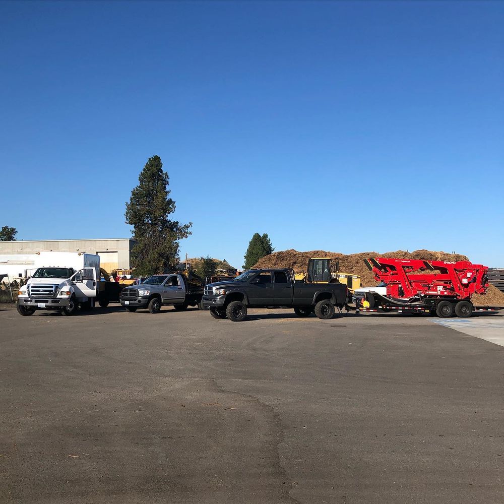 All Photos for AP Tree Service in Colbert, WA