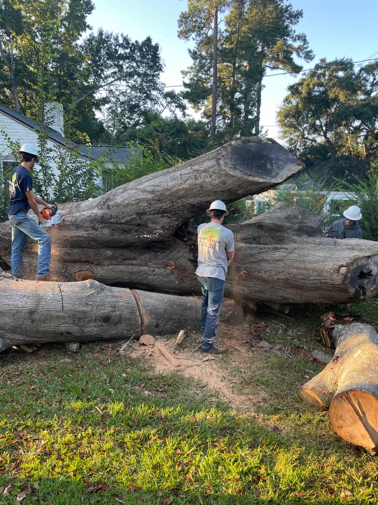 All Photos for ArborMax in Thomaston, GA