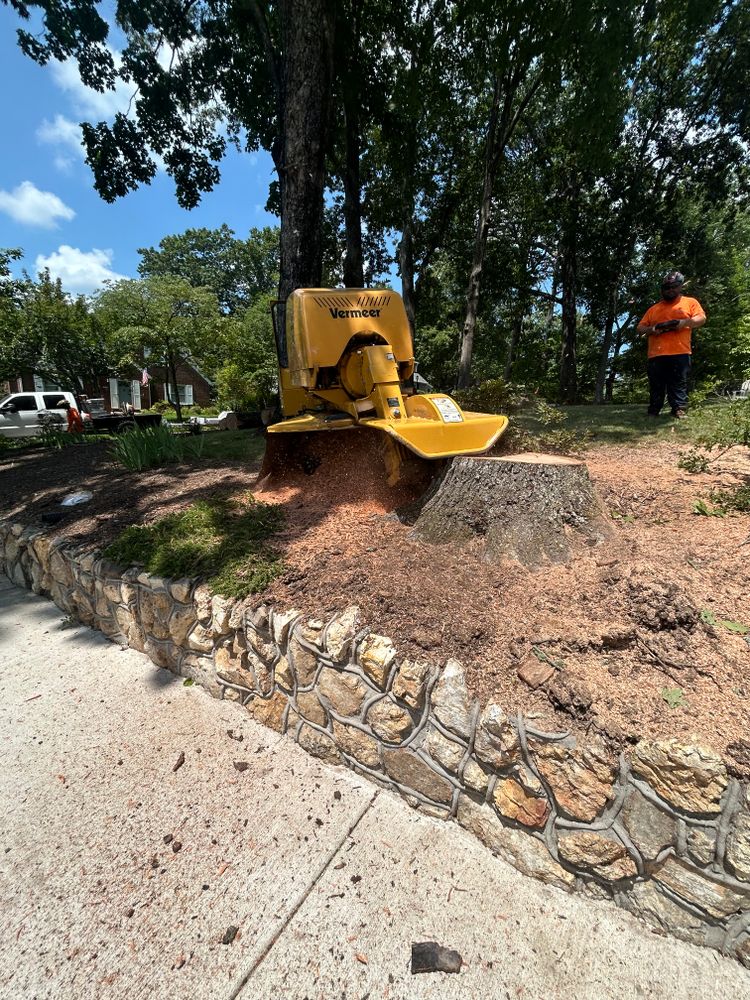 All Photos for Lucky’s Tree Removal and Landscape Services in Knoxville, TN