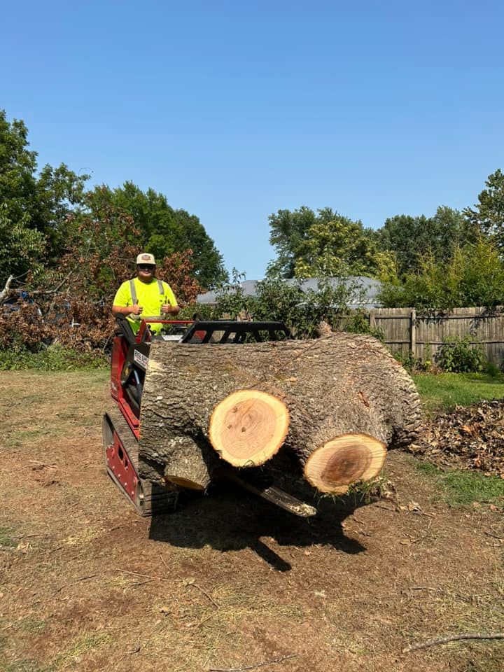 Tree Removal for Logan Tree Care LLC in Springfield, MO