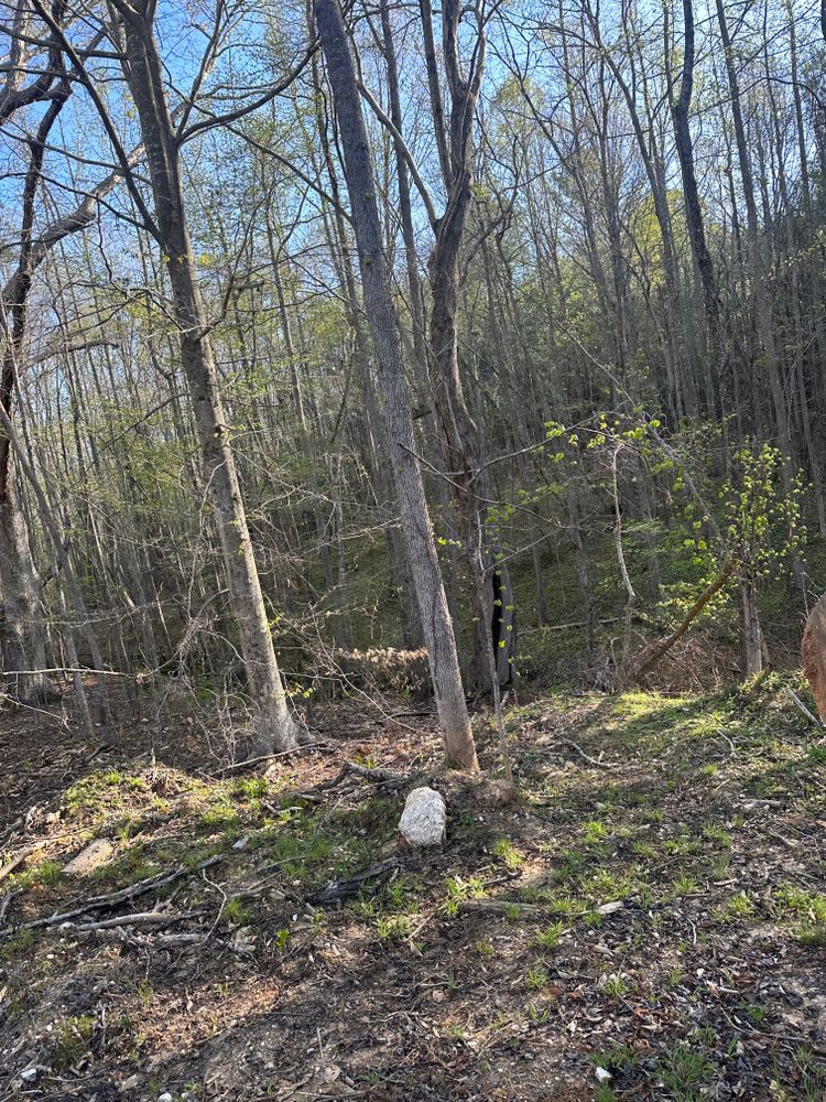All Photos for A.P Land Management in Atlanta, Ga