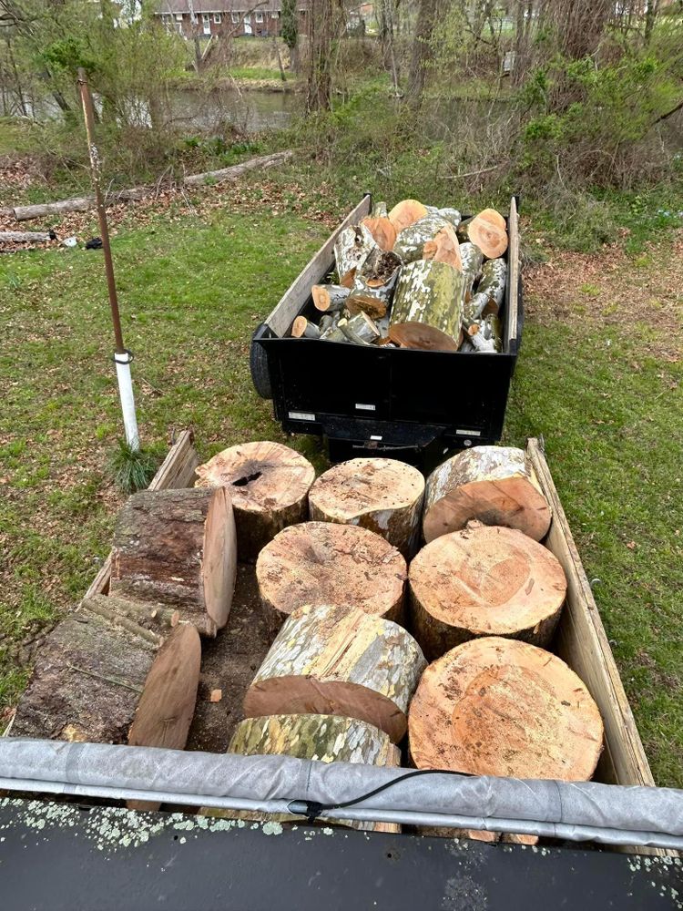 All Photos for NRV Tree Pro, LLC in Narrows, VA