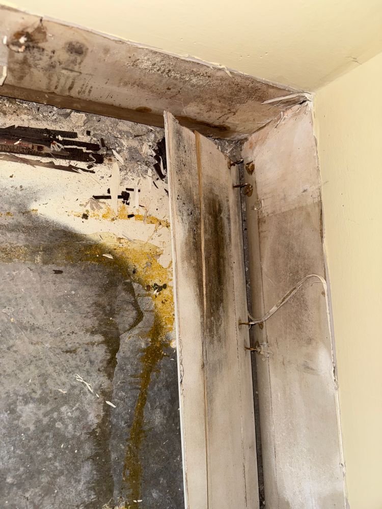 All Photos for N&D Restoration Services When Disaster Attacks, We Come In in Cape Coral,  FL