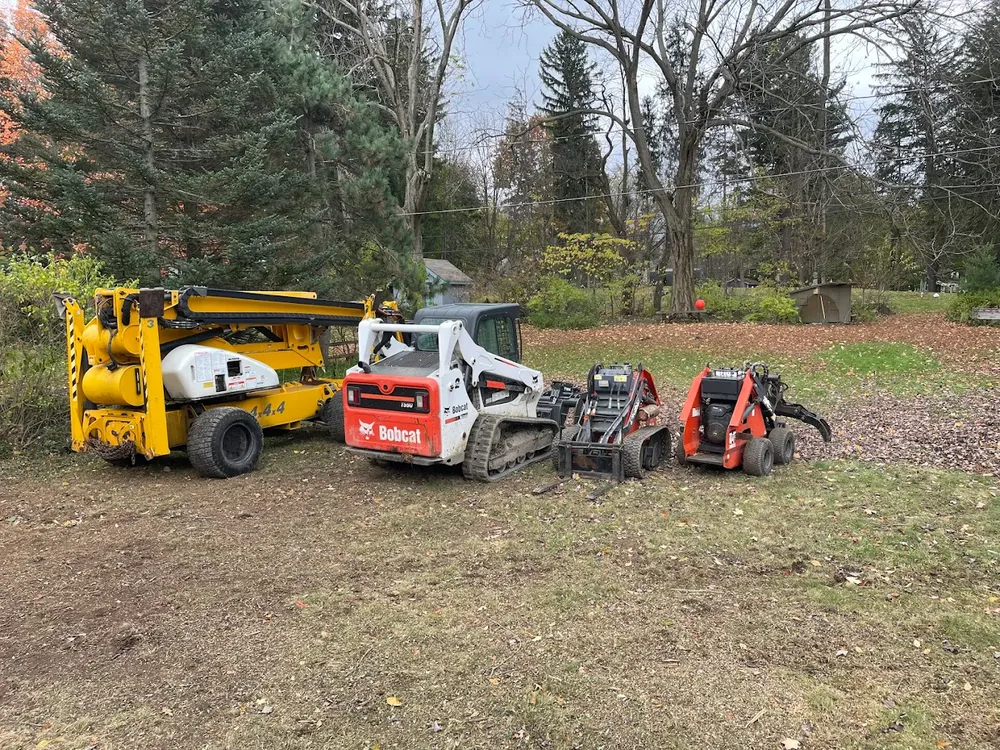 Our land clearing service removes trees, brush, and debris safely and efficiently, preparing your property for construction, landscaping, or improved usability while protecting surrounding areas with professional care. for Mays Tree and Stump Removal in Alden, NY