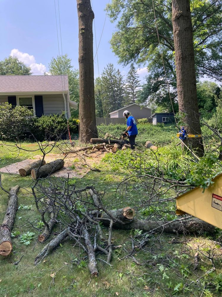 All Photos for Summit Tree Care LLC in Fort Wayne, IN