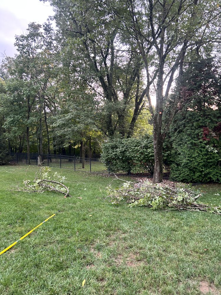 All Photos for Terra Steel Creations in Independence, KY