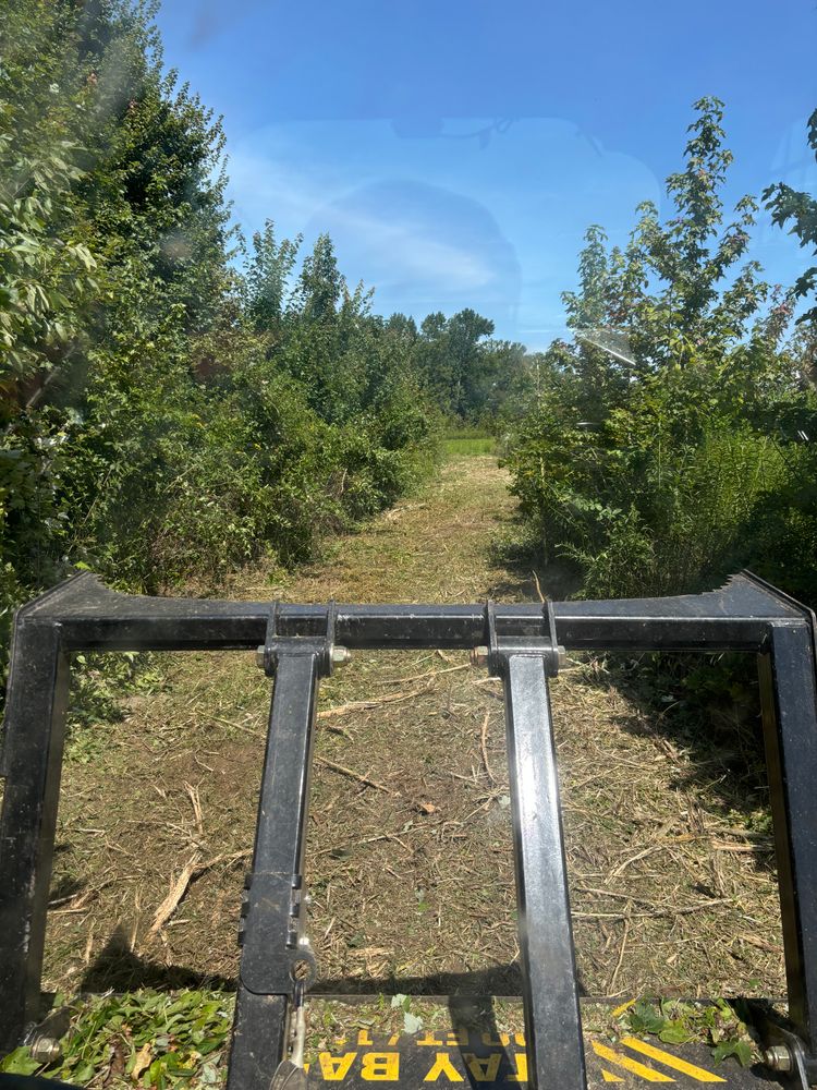 All Photos for Gregory Grass and Lawn in Lafayette, TN