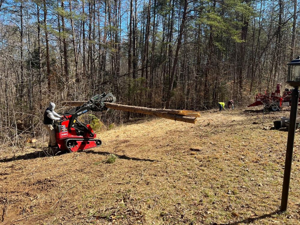 All Photos for Branch Out Tree Care LLC in Fredericksburg, VA