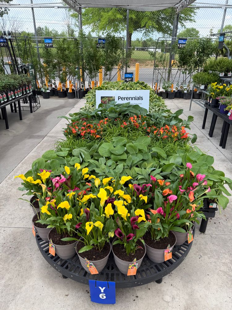 Landscaping for Starnes Hardscapes & Property Management LLC in Dunlap, TN