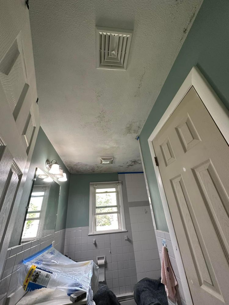 All Photos for Suter & Sons Painting in Amherst, Western Massachusetts