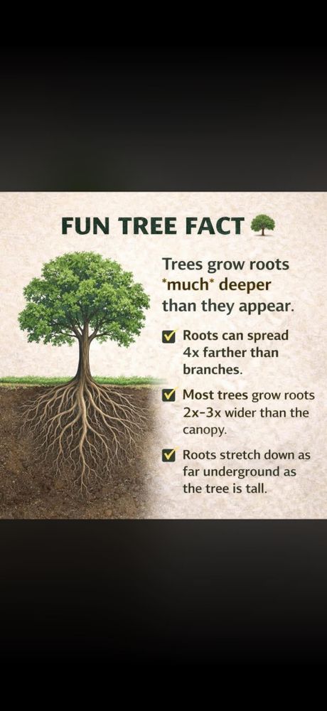 All Photos for Anstaetts Tree Service in Batavia, OH