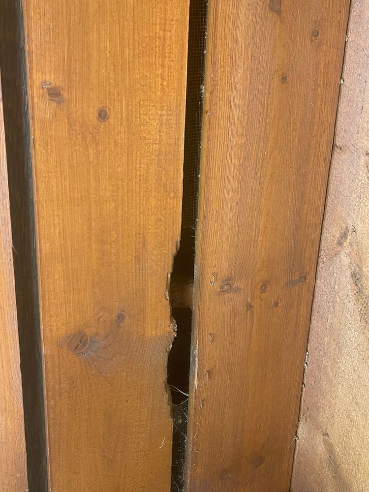 All Photos for Wild West Log home specialists in Corvallis, MT