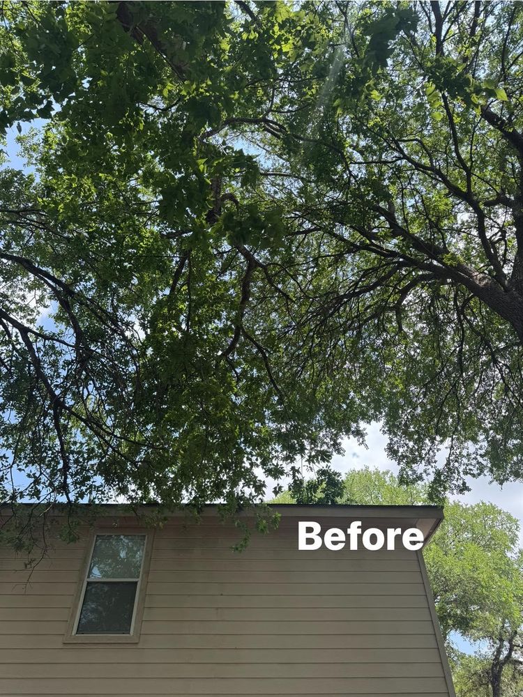 All Photos for Z’s Trees LLC in Grey Forest, TX