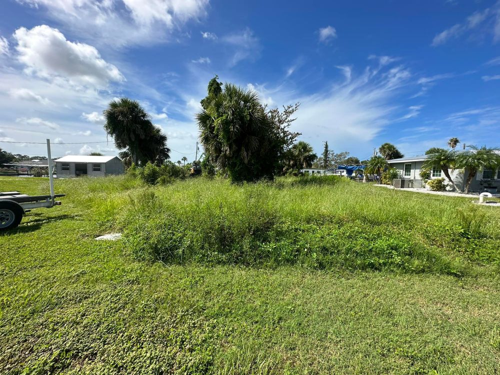 Tree Removal for MX Trees LLC in Englewood, FL