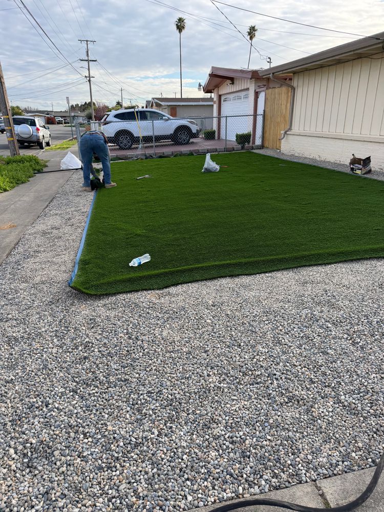 All Photos for CBA Landscaping in Hayward, CA