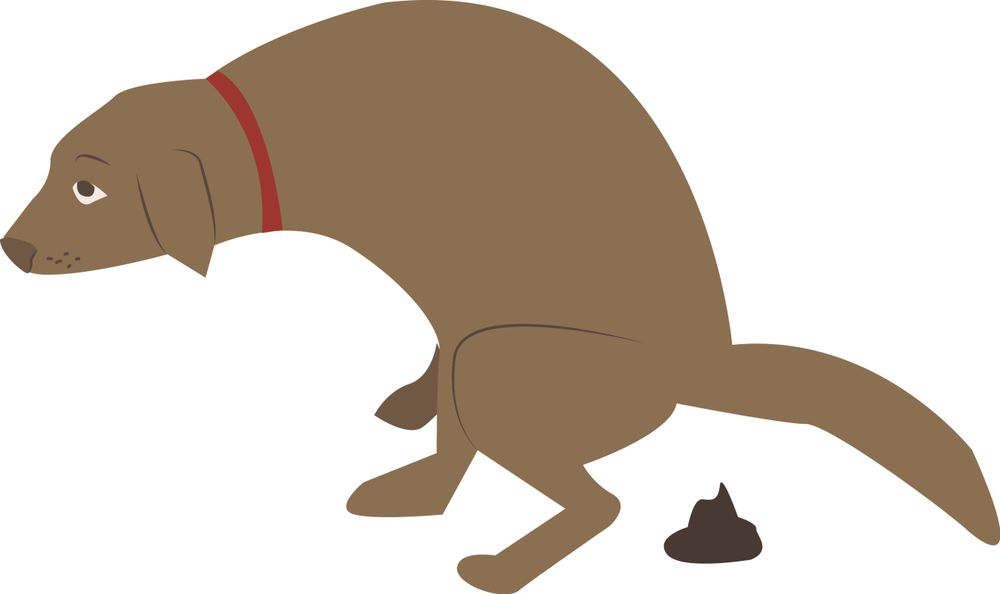 All Photos for River City Scoopers in Midlothian, VA