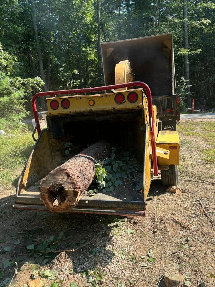All Photos for Dwights Tree Service LLC in Middleborough, MA
