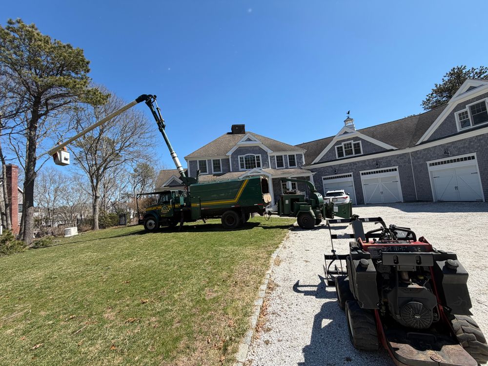 All Photos for Native Roots Tree Service in Cape Cod, MA
