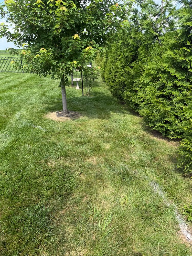 All Photos for Stafford.Works in Brownsburg, IN