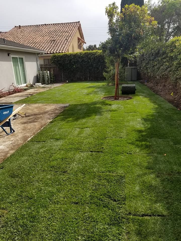 Lawn Aeration for Sierra Landscape in Tustin, CA