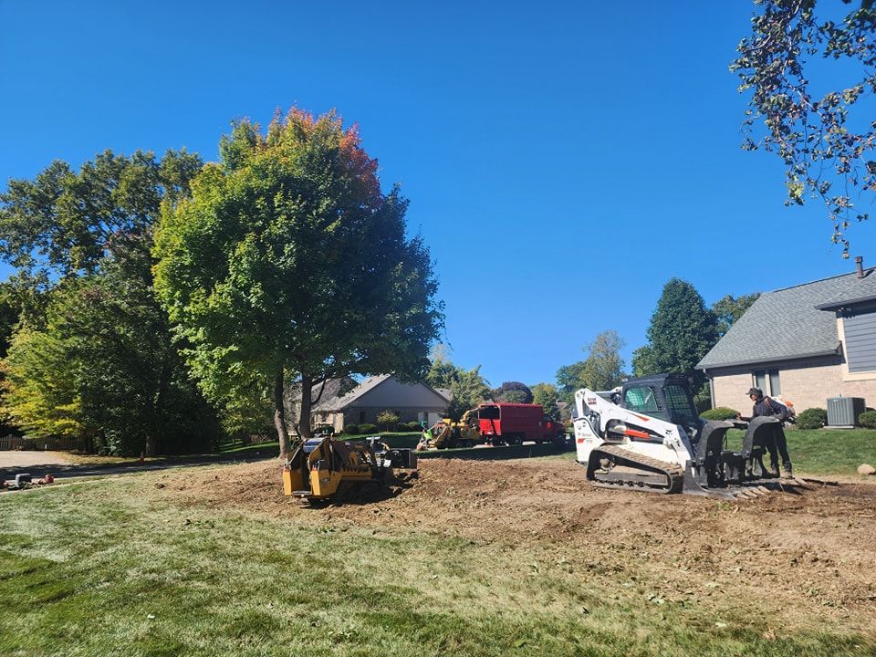 Tree Trimming and Removal for F & F Tree Service in Beavercreek, OH