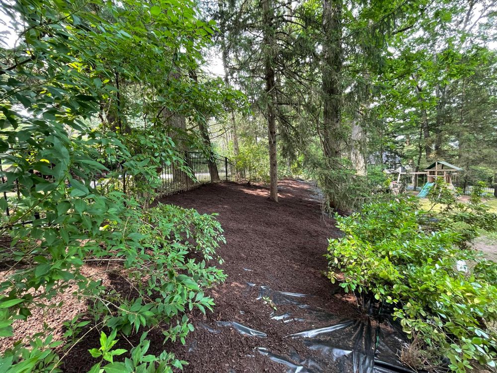 Our commercial landscaping service transforms your outdoor space into an aesthetically pleasing, functional environment with professional design and maintenance, enhancing your property's curb appeal and value for long-lasting satisfaction. for DNA Landscapes in Hackettstown, NJ