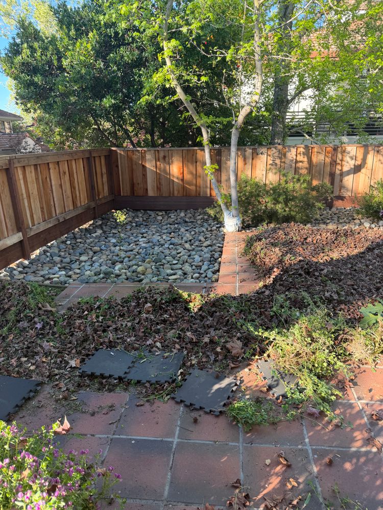 All Photos for CBA Landscaping in Hayward, CA
