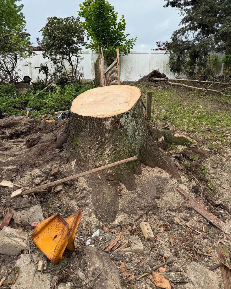 All Photos for Mark's Multiple Landscaping in Pittsburgh, PA