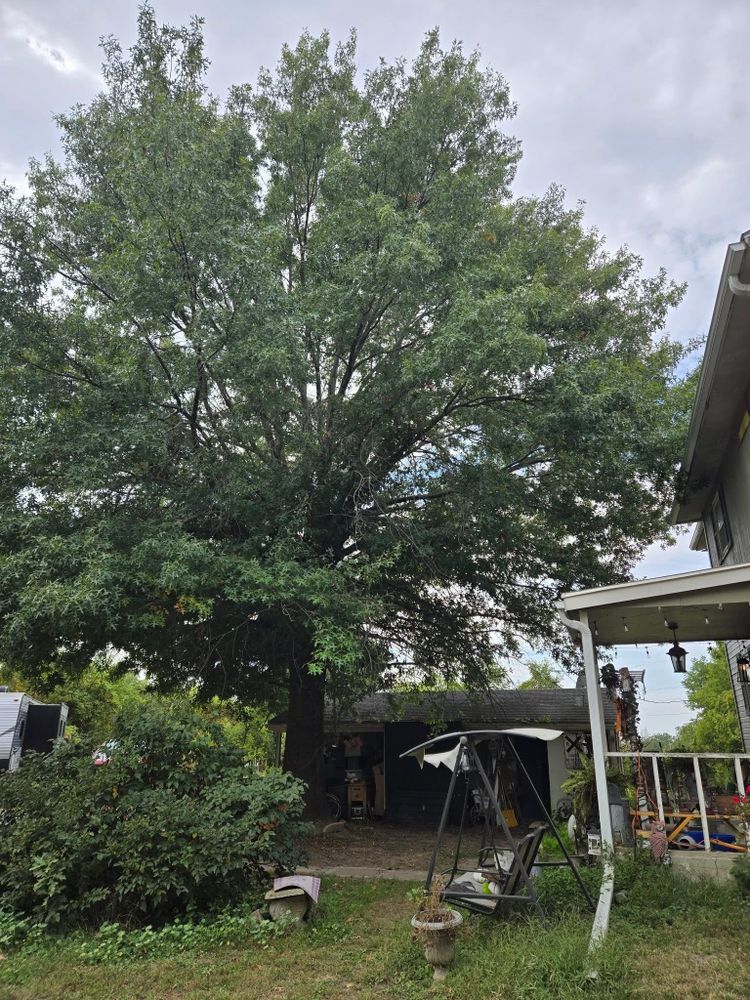 All Photos for Lawn Ranger Yard And Tree Service LLC in Ottumwa, IA