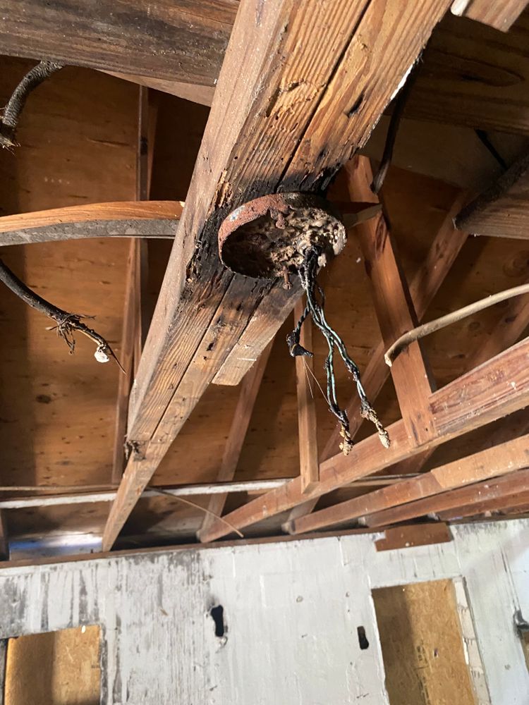 All Photos for Nominal Voltage in Orlando, FL