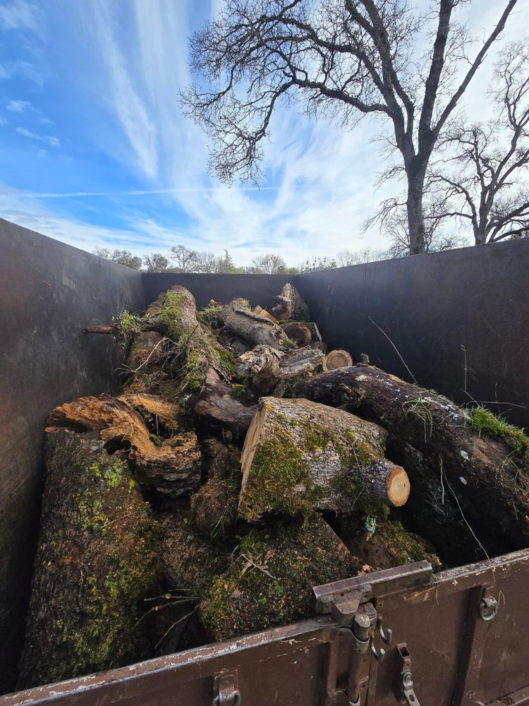 All Photos for Terra Heights Tree Experts & Landscaping  in Grass Valley,  CA
