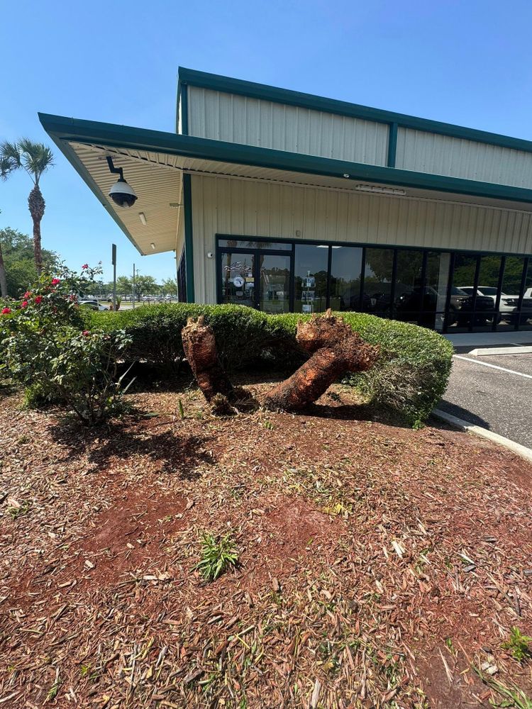 All Photos for Jacksonville Outdoors in Jacksonville, FL