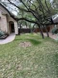All Photos for Oviedo Land & Garden in Bastrop, TX