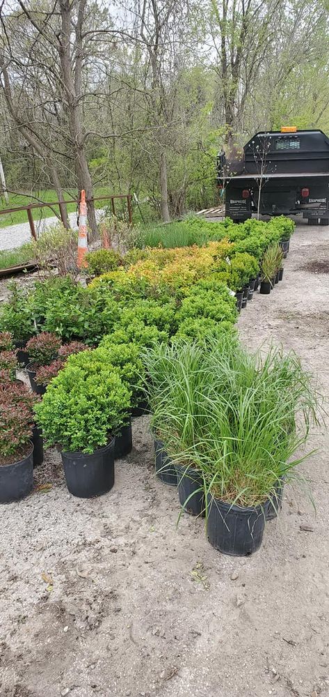 landscaping for Contemporary Landscape in St. Louis, MO