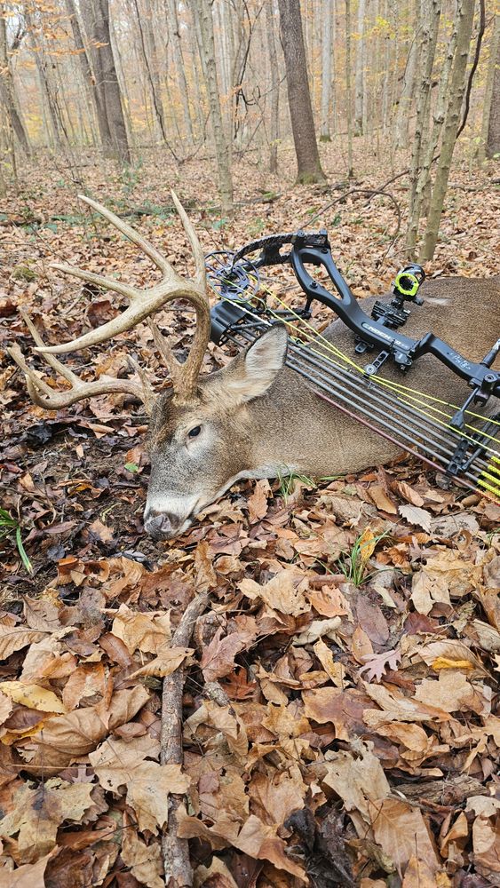 All Photos for Bluff Country Whitetails in Southern Indiana, IN