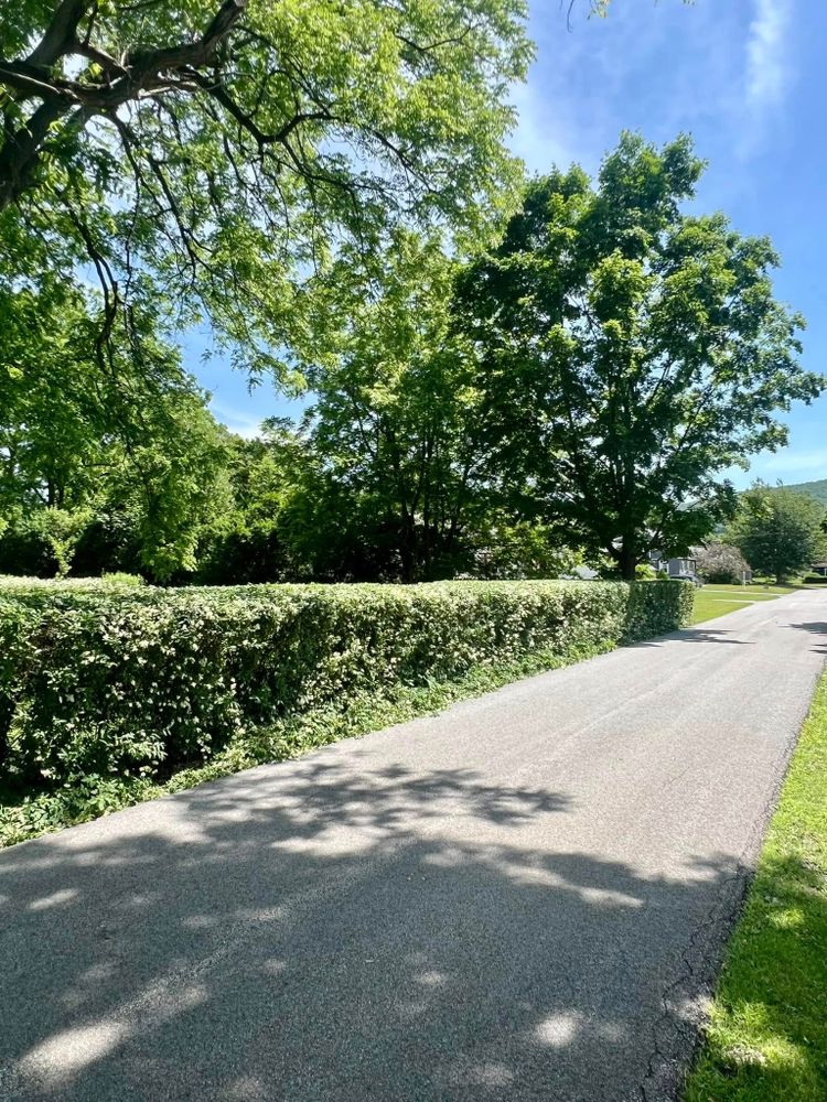 Landscaping for Bishop’s Property Maintenance in Franklin, VT