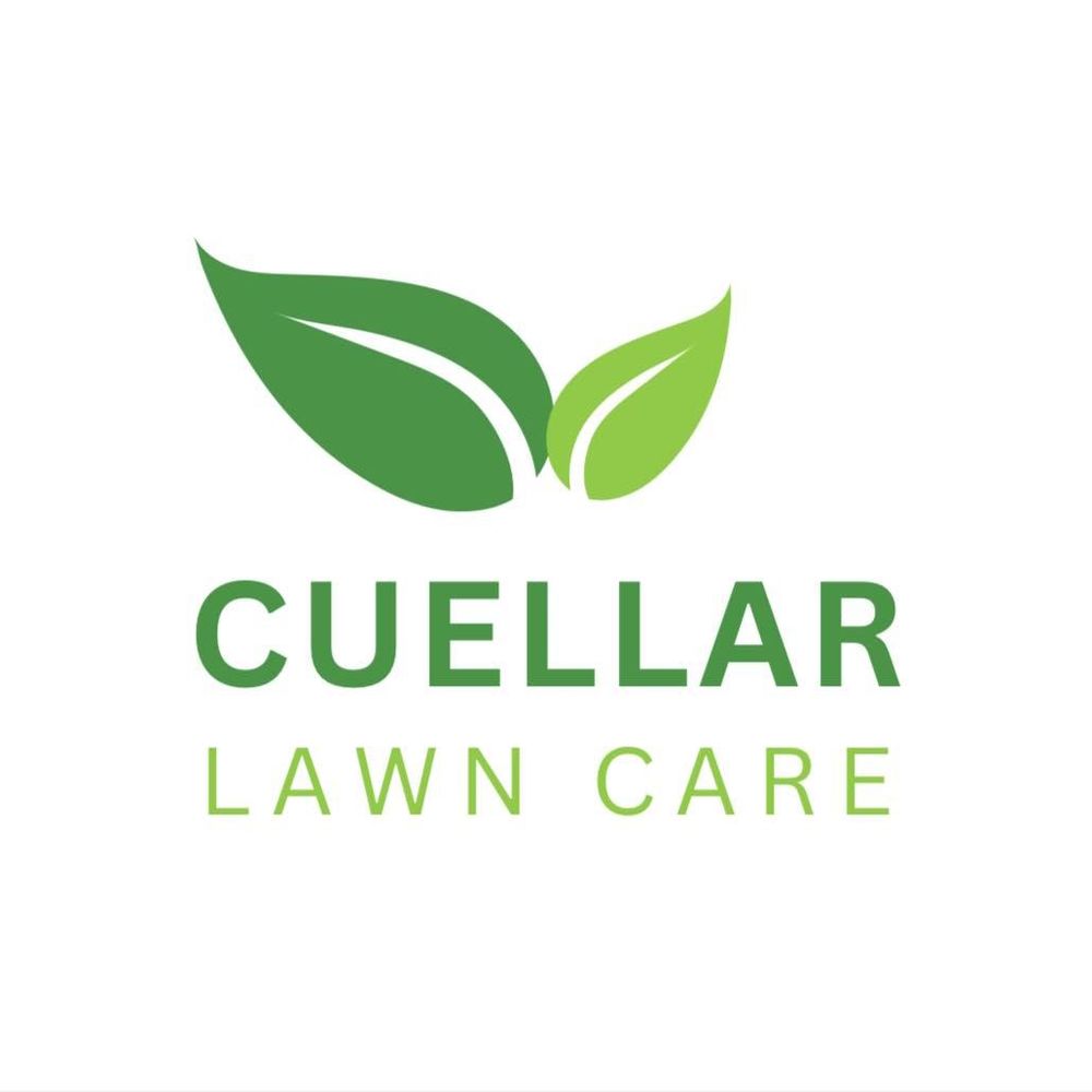 Fall Clean Up for Cuellar Lawn Care in Stone Ridge , NY 