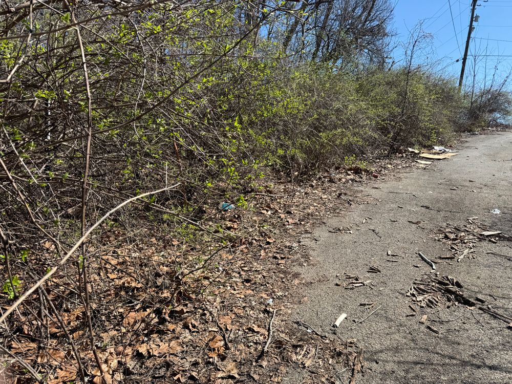 All Photos for A1 Bush Hogging & Lawn Service in London, OH